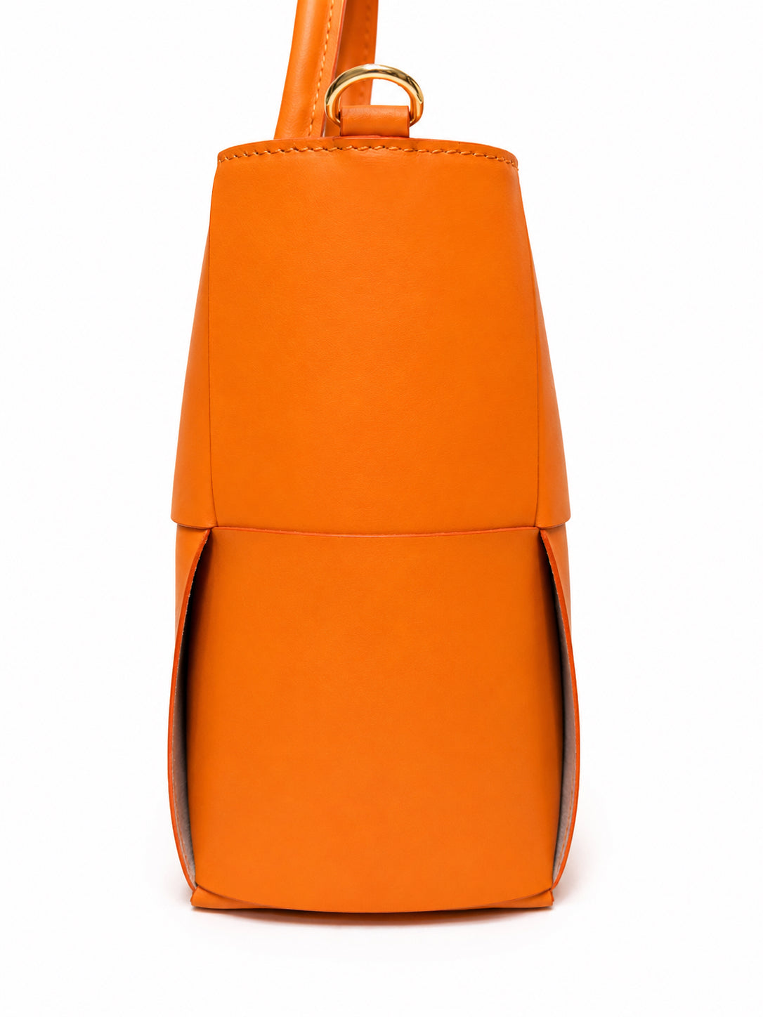 Angelica